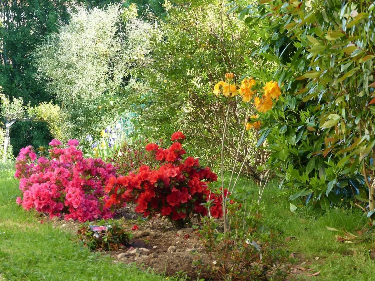 Les Enselmes Bed and Breakfast Montagnieu
