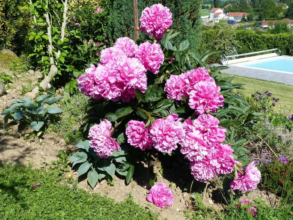 Les Enselmes Bed and Breakfast Montagnieu  Γαλλία